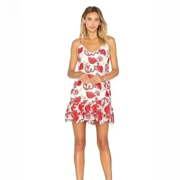 ALEXIS Clement lace Dress in red and white - Picture 1 of 11